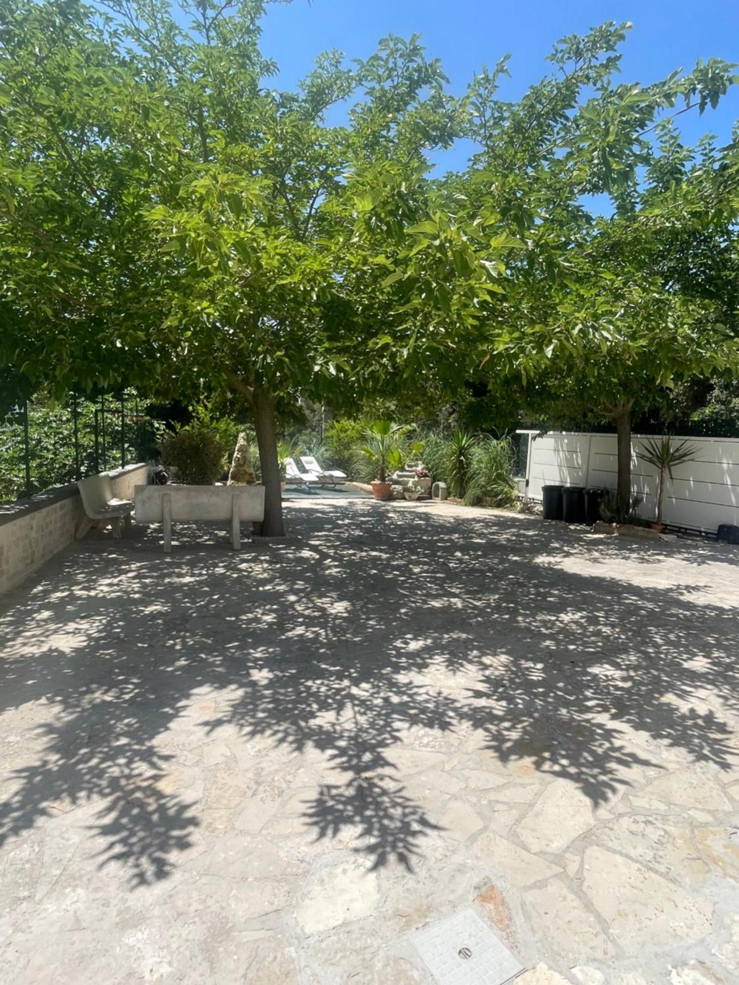 Villa Romina Selva Di Fasano Εξωτερικό φωτογραφία